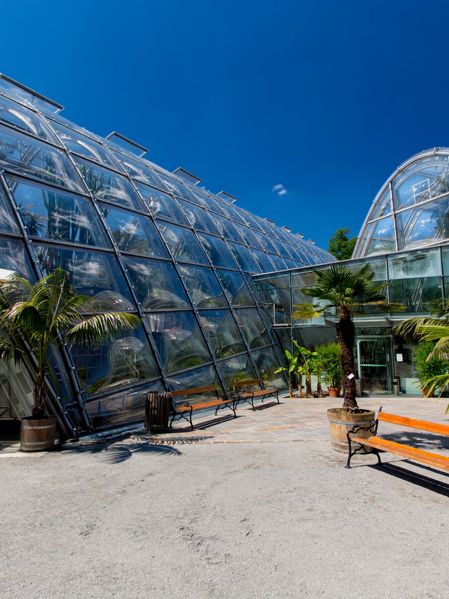 Botanischer Garten Graz Infos, Öffnungszeiten & Eintritt